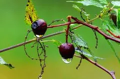 Schnäppchen oder Reinfall?