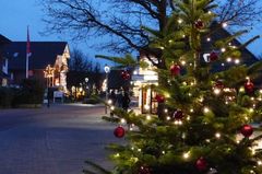 Glycerin oder Zucker?