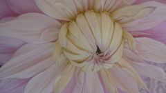 Zeit f&uuml;r die Auswinterung