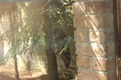 Huhu - Huhuhu, Huuuuuh!