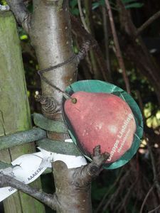 Frostschäden vermeiden