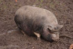 Weniger Licht, mehr Gewicht