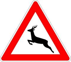 „Achtung Wildwechsel“