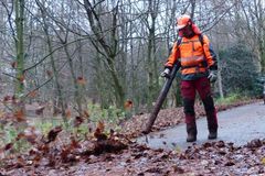 Laubbläser und -sauger