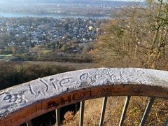 Keine Pollen, kaum Sporen