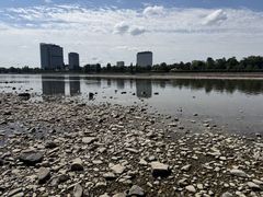 Extremniedrigwasser am Rhein