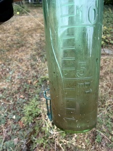 Warum kleine Regenmengen im Wald kaum ankommen